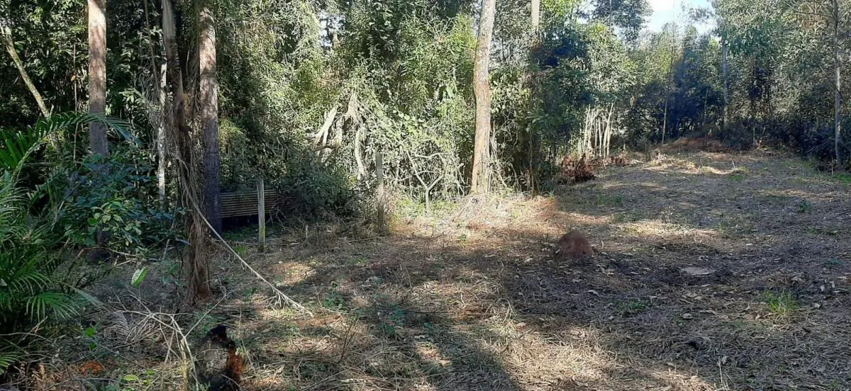 Sítio à venda de 4 ha em Sarapuí, SP, Brasil