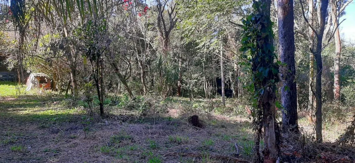 Sítio à venda de 4 ha em Sarapuí, SP, Brasil