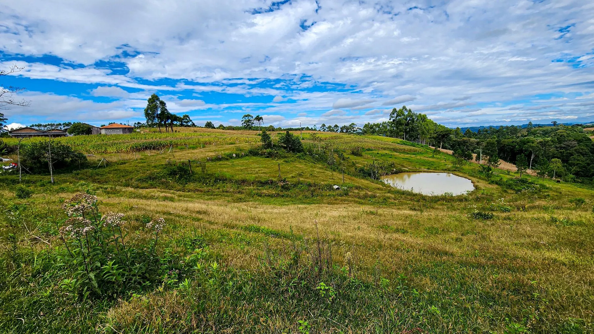 Terreno à venda de 3 ha em Witmarsum, SC, Brasil