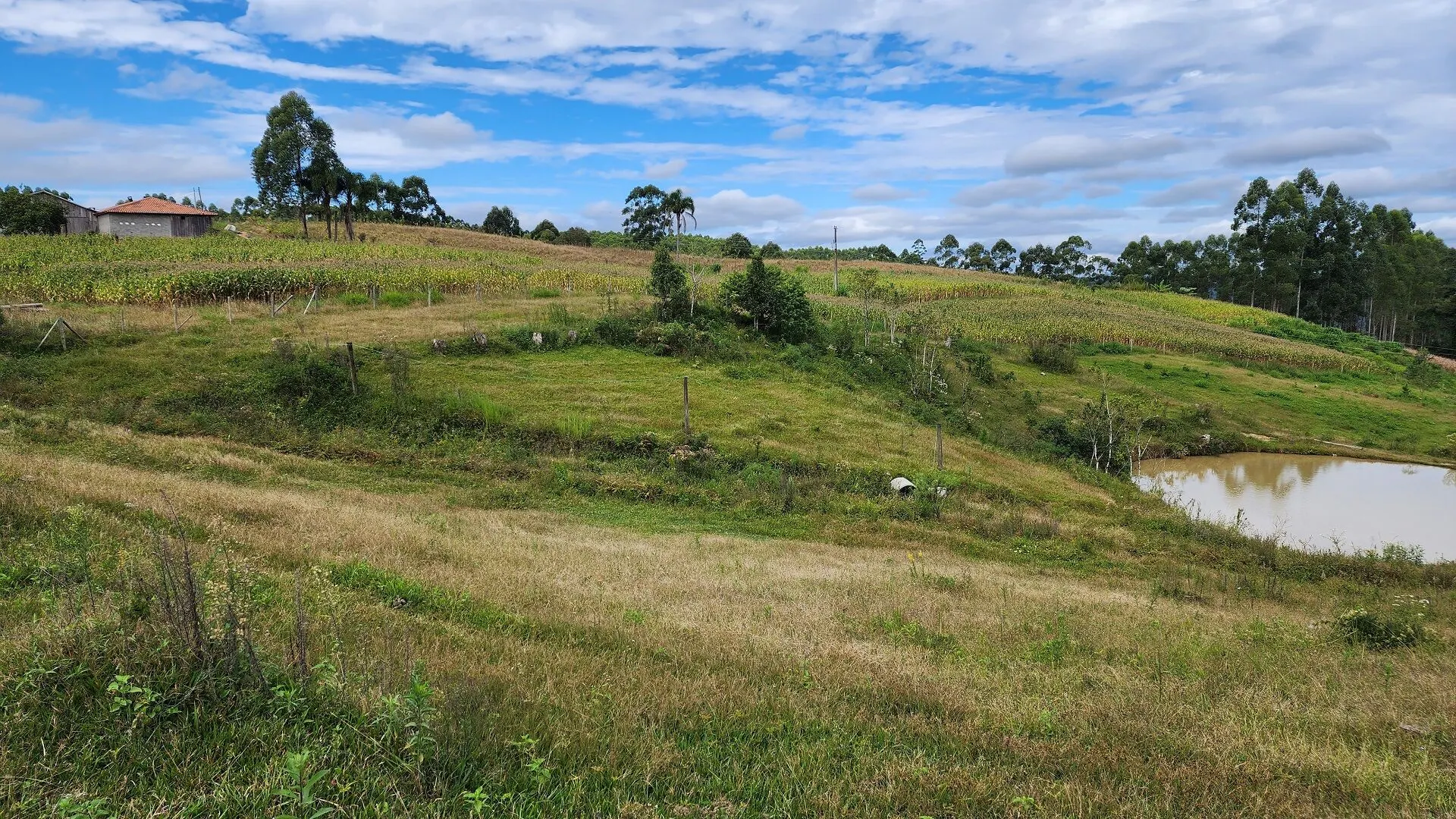 Terreno à venda de 3 ha em Witmarsum, SC, Brasil