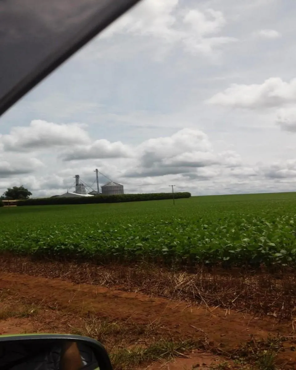 Fazenda à venda de 1.300 ha em Taquarituba, SP, Brasil