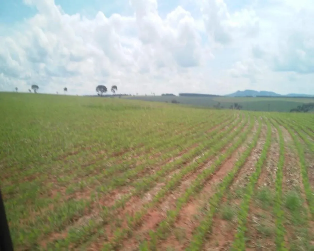Fazenda à venda de 1.300 ha em Taquarituba, SP, Brasil