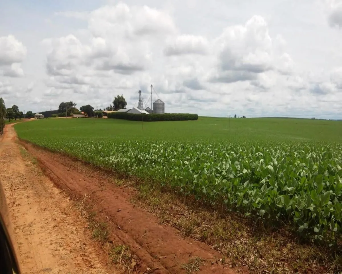 Fazenda à venda de 1.300 ha em Taquarituba, SP, Brasil