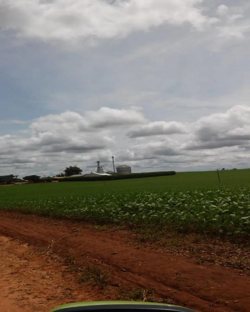 Fazenda à venda de 1.300 ha em Taquarituba, SP, Brasil