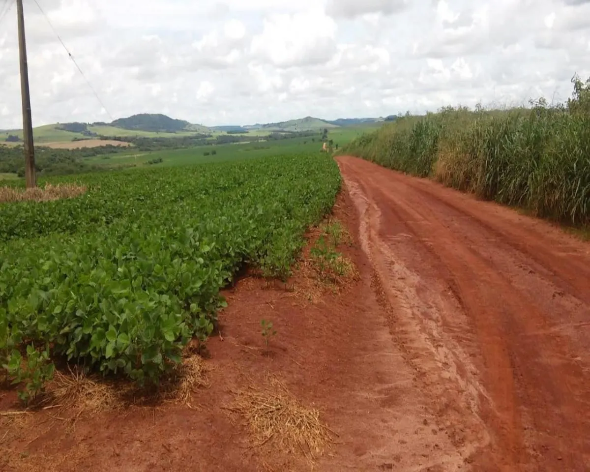 Fazenda à venda de 1.300 ha em Taquarituba, SP, Brasil