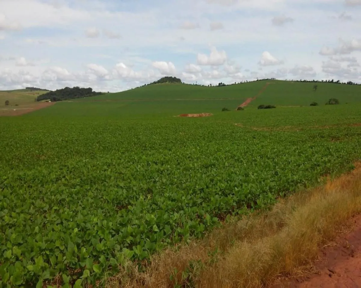 Fazenda à venda de 1.300 ha em Taquarituba, SP, Brasil