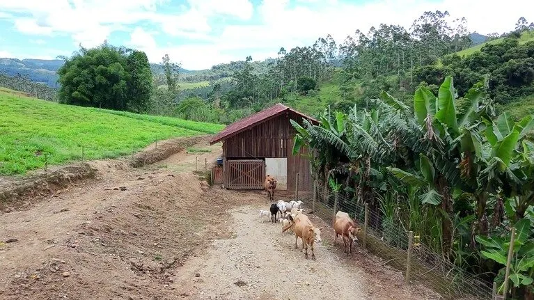 Sítio à venda de 8 ha em Presidente Nereu, SC, Brasil