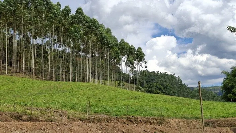 Sítio à venda de 8 ha em Presidente Nereu, SC, Brasil