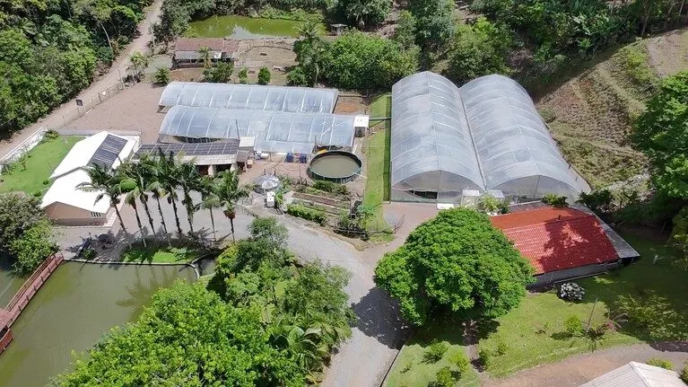 Sítio à venda de 8 ha em Presidente Nereu, SC, Brasil