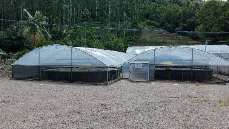 Sítio à venda de 8 ha em Presidente Nereu, SC, Brasil