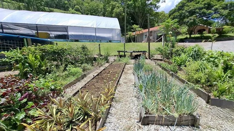 Sítio à venda de 8 ha em Presidente Nereu, SC, Brasil