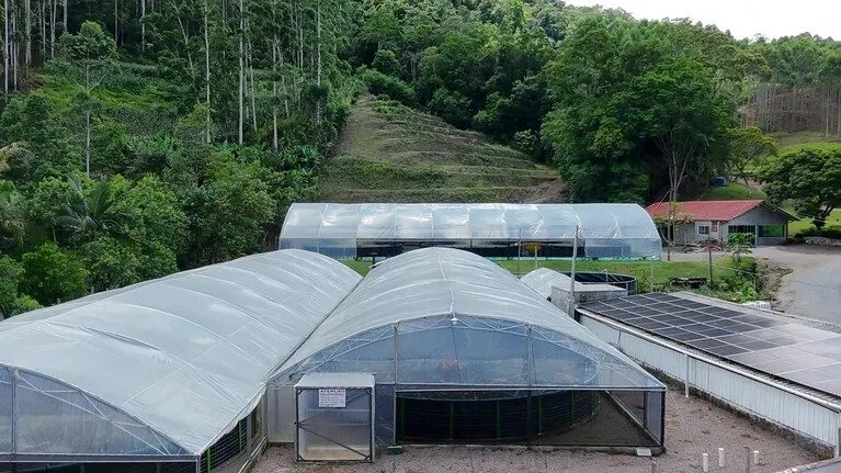 Sítio à venda de 8 ha em Presidente Nereu, SC, Brasil