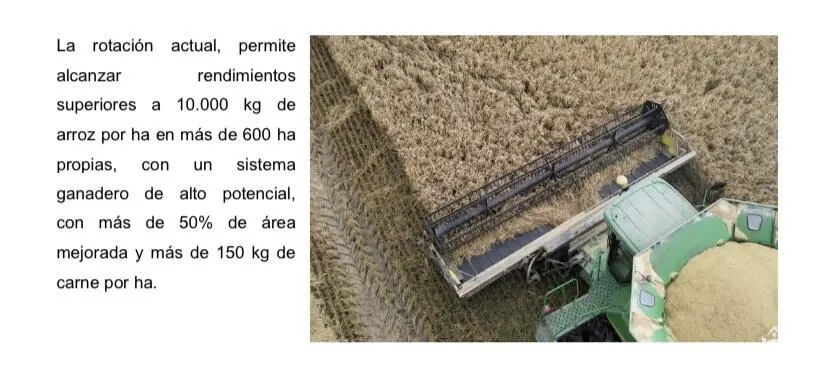 Farm for sale of 8,402 acres in Jaguarão, RS, Brazil