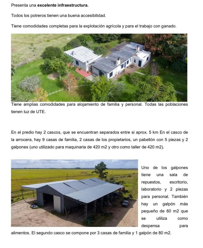 Farm for sale of 8,402 acres in Jaguarão, RS, Brazil