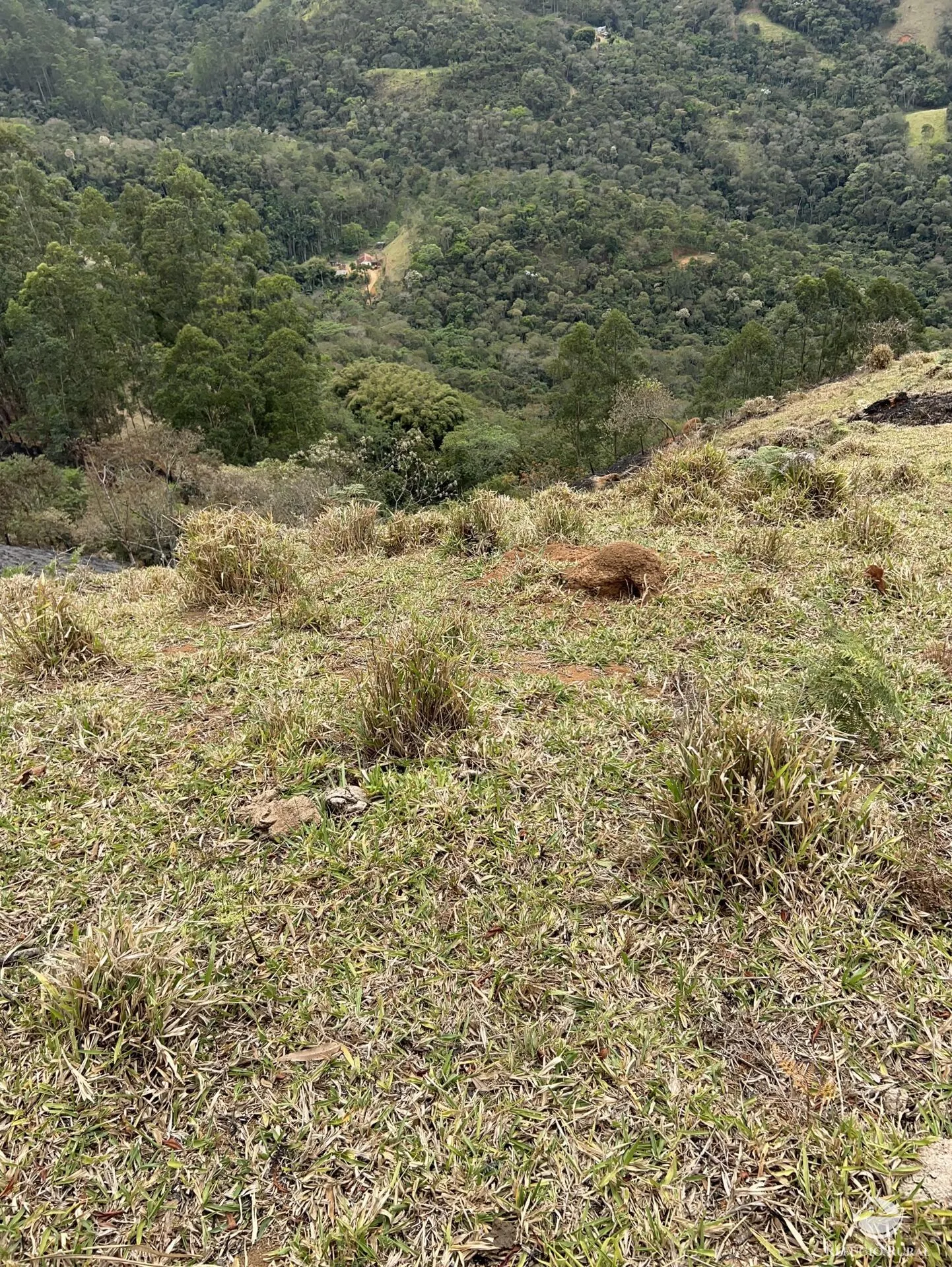 Terreno à venda de 2 ha em São José dos Campos, SP, Brasil