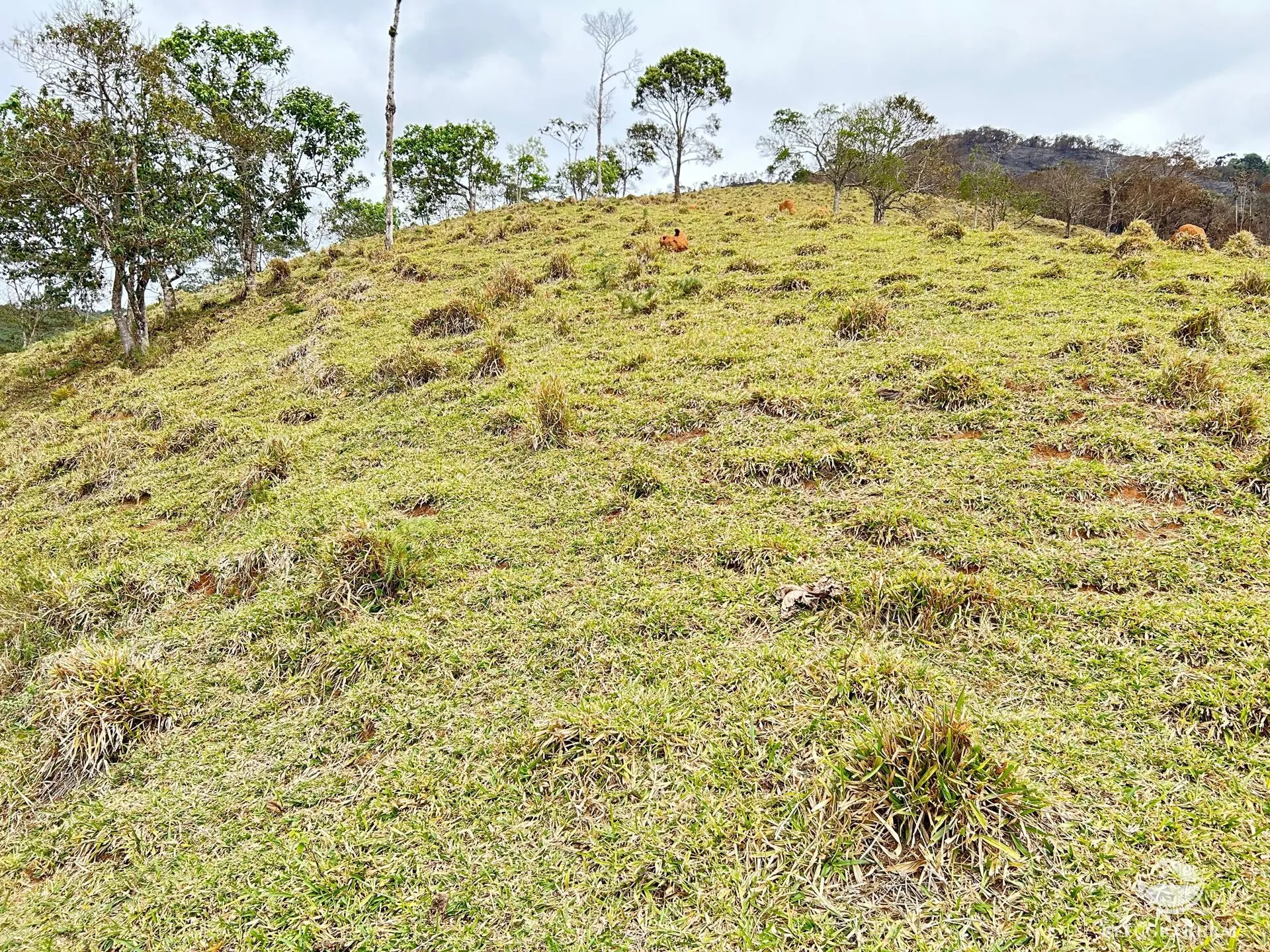 Terreno à venda de 2 ha em São José dos Campos, SP, Brasil