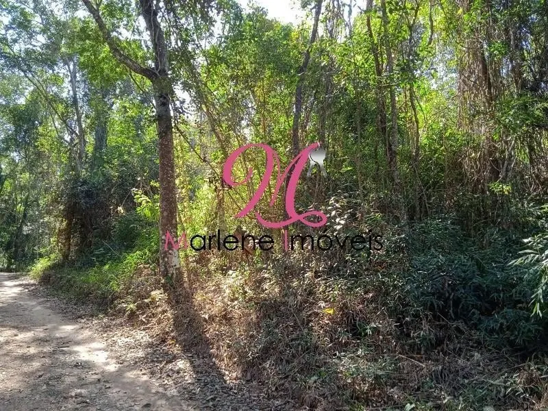 Small farm for sale of 13 acres in Atibaia, SP, Brazil