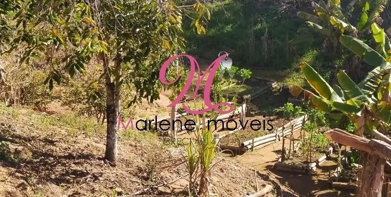 Small farm for sale of 13 acres in Atibaia, SP, Brazil