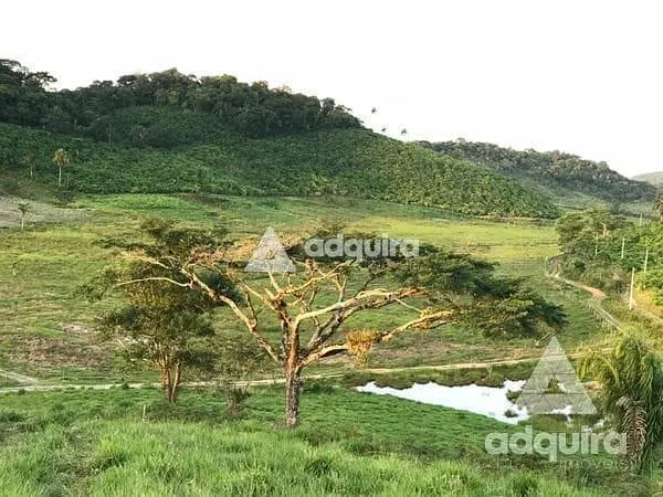 Sítio à venda de 44 ha em Iguape, SP, Brasil