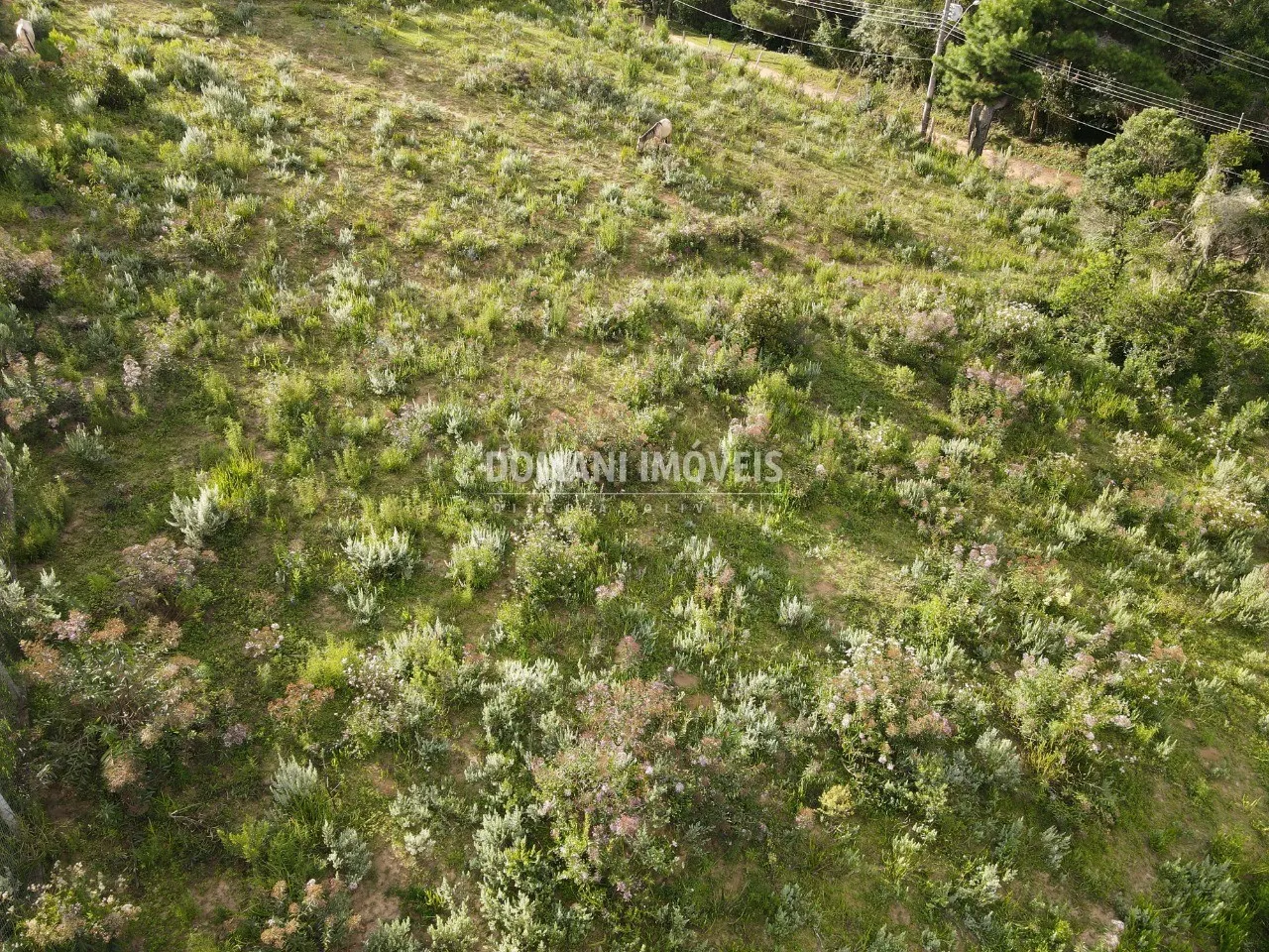 Plot for sale of 2,020 m² in Campos do Jordão, SP, Brazil