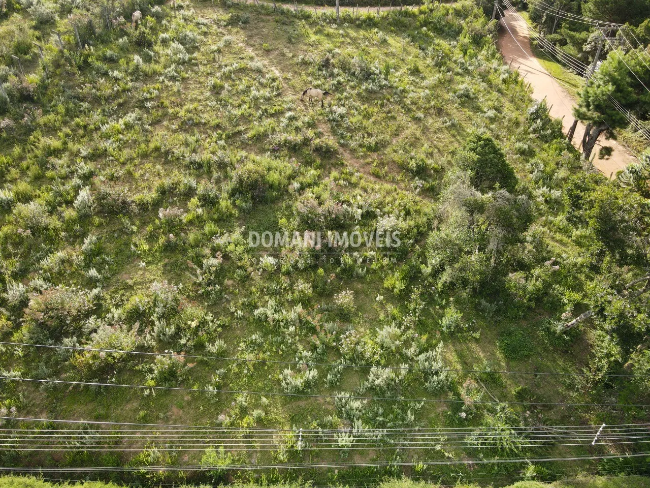 Plot for sale of 2,020 m² in Campos do Jordão, SP, Brazil