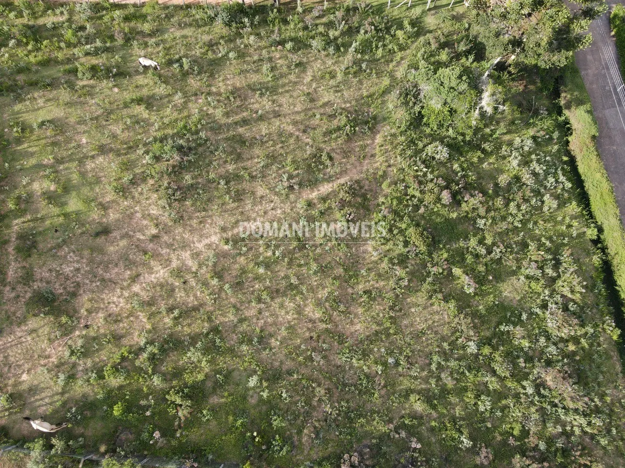 Plot for sale of 2,020 m² in Campos do Jordão, SP, Brazil