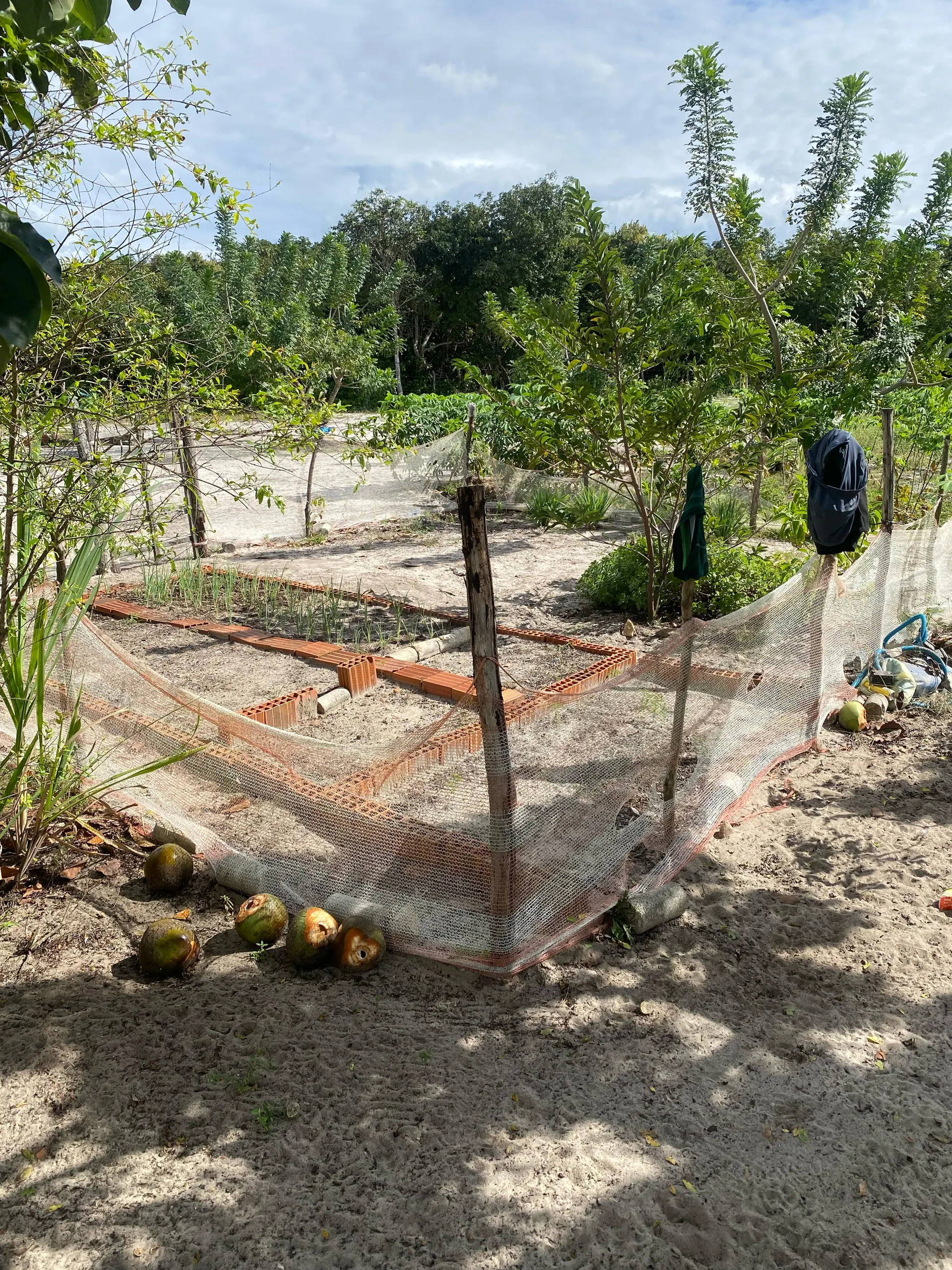 Chácara à venda de 8.000 m² em Paracuru, CE, Brasil