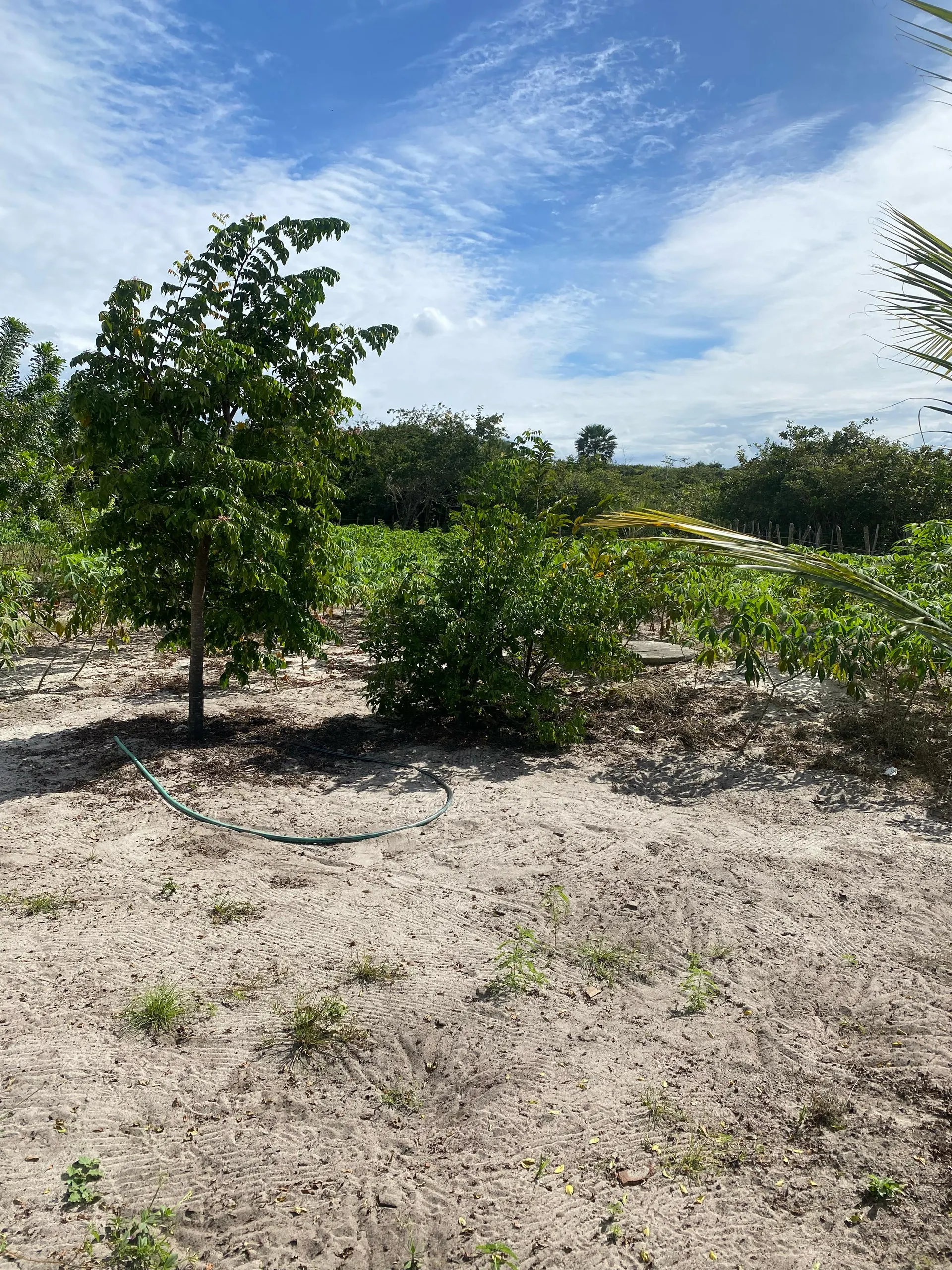 Country home for sale of 2 acres in Paracuru, CE, Brazil