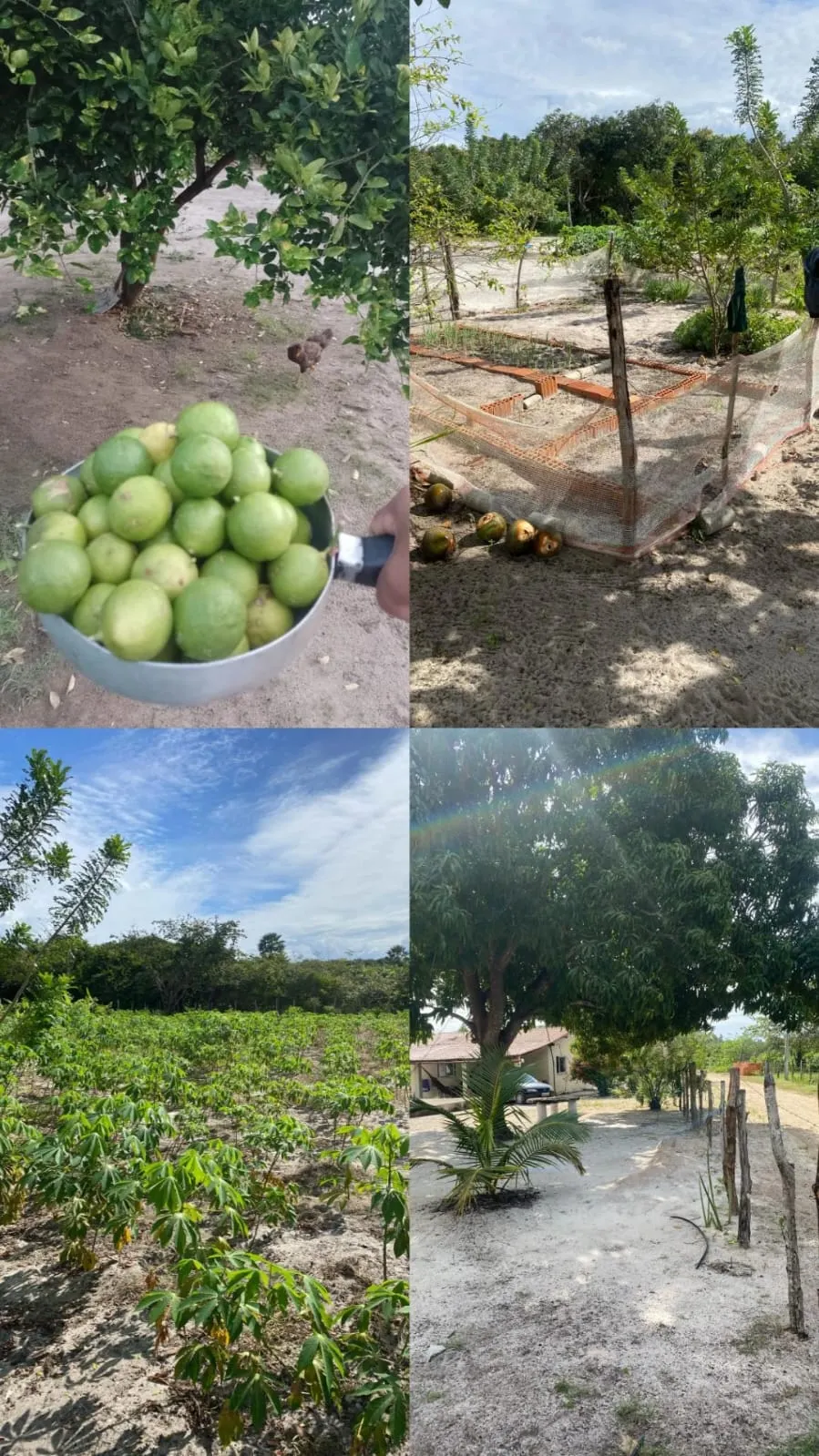 Country home for sale of 2 acres in Paracuru, CE, Brazil