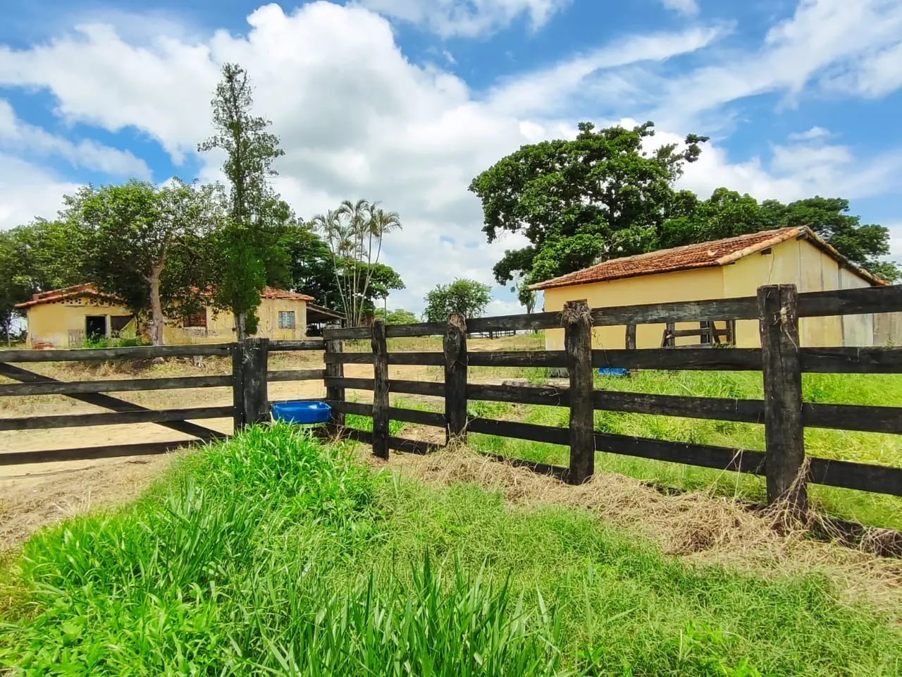 Fazenda à venda de 53 ha em Itapetininga, SP, Brasil
