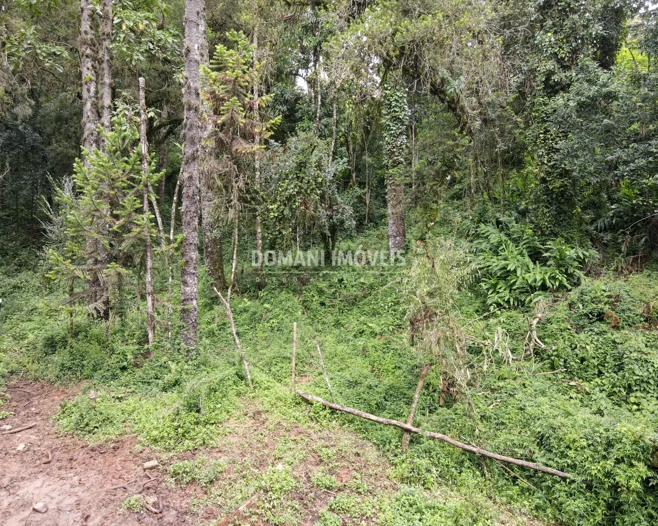 Plot for sale of 3,750 m² in Campos do Jordão, SP, Brazil