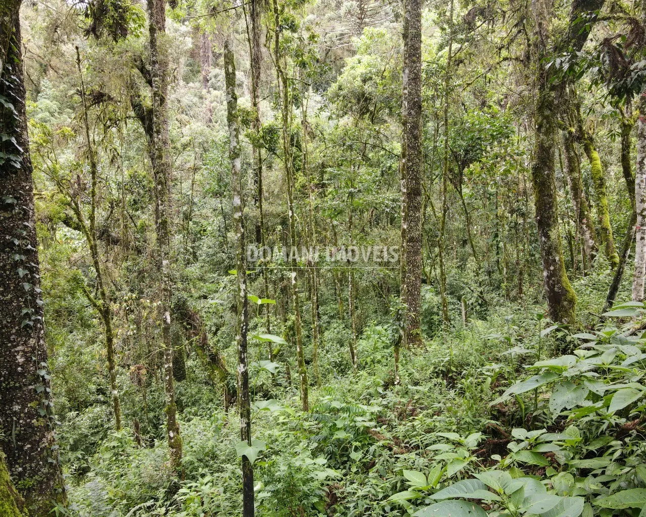 Plot for sale of 3,750 m² in Campos do Jordão, SP, Brazil