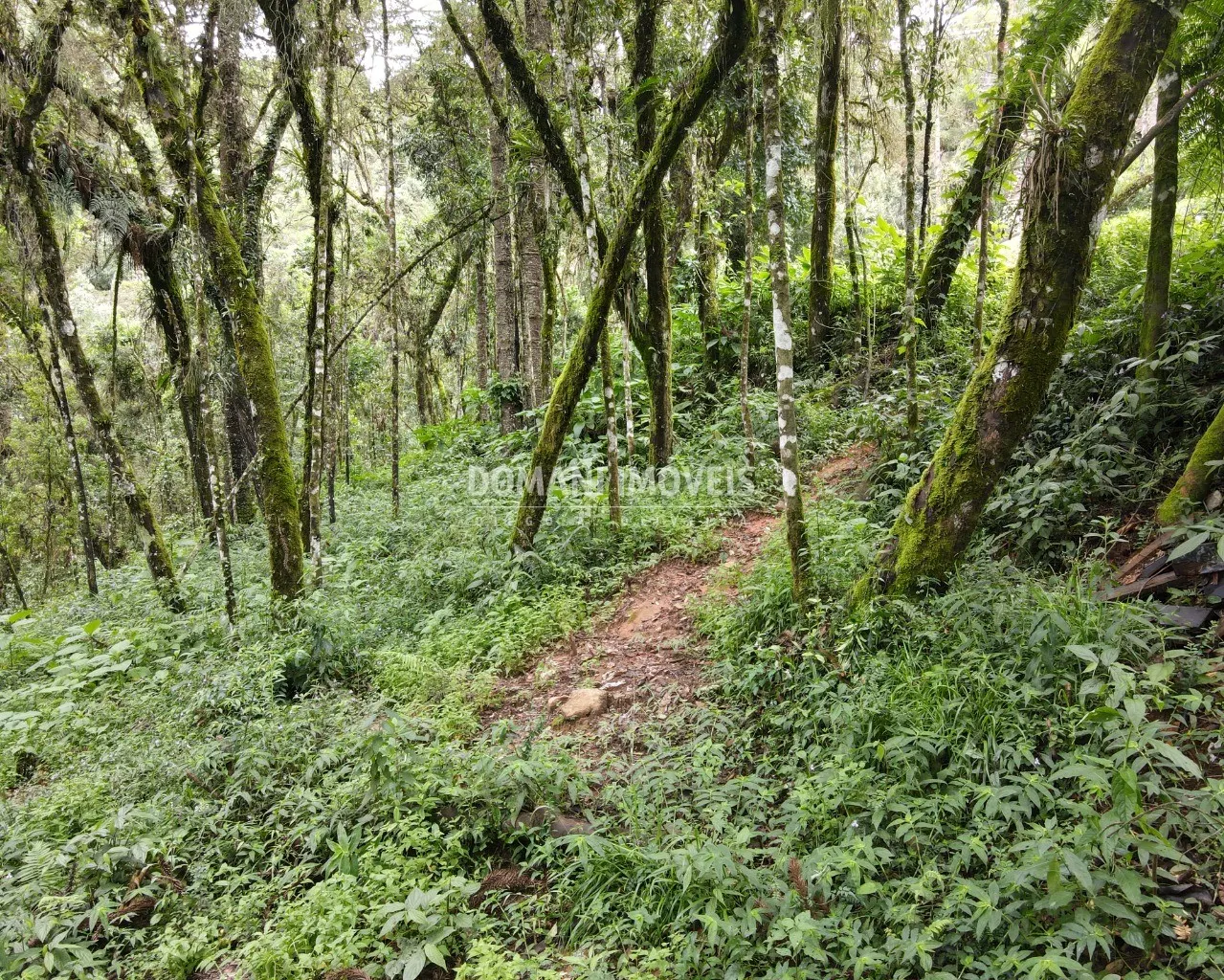 Plot for sale of 3,750 m² in Campos do Jordão, SP, Brazil