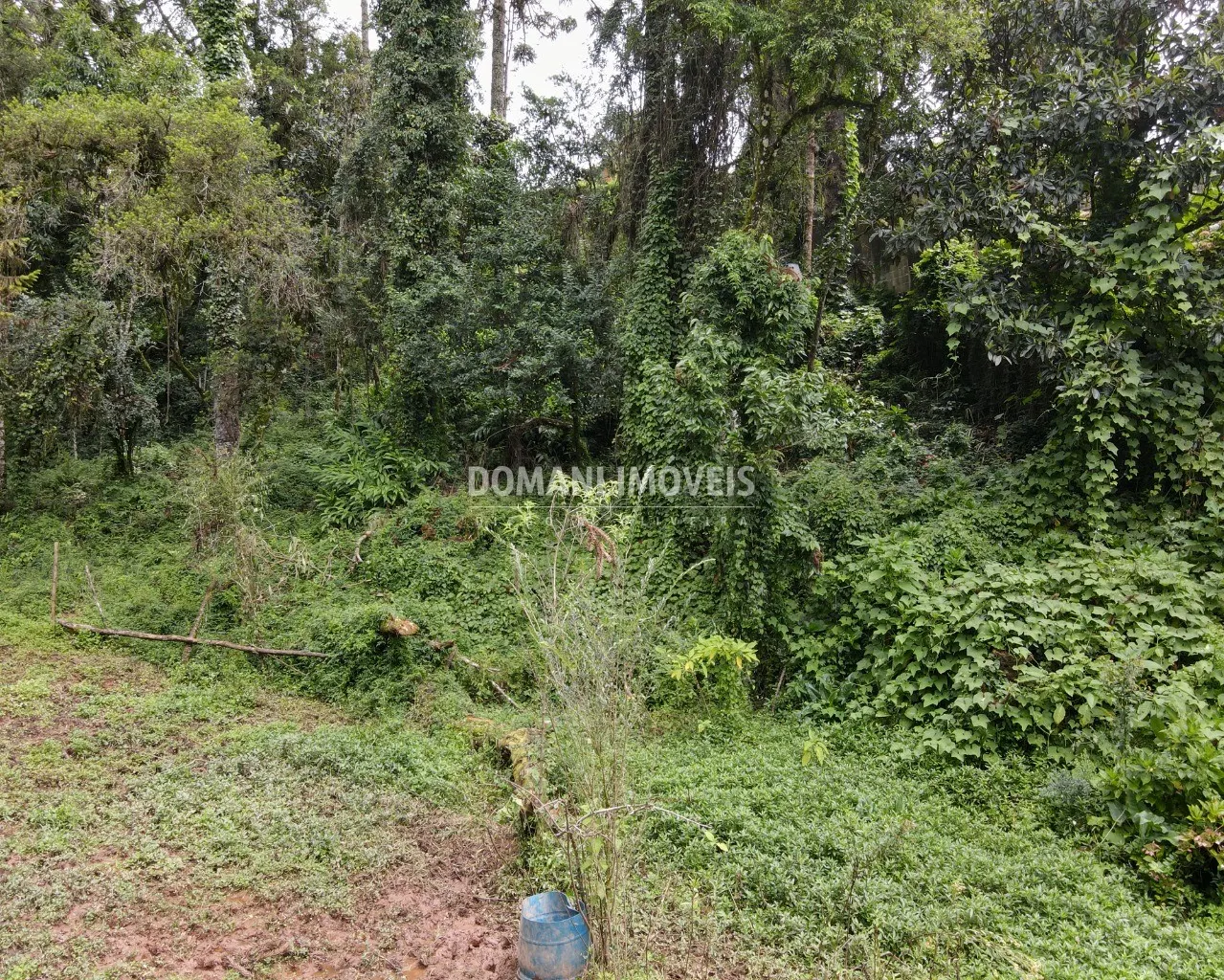 Plot for sale of 3,750 m² in Campos do Jordão, SP, Brazil