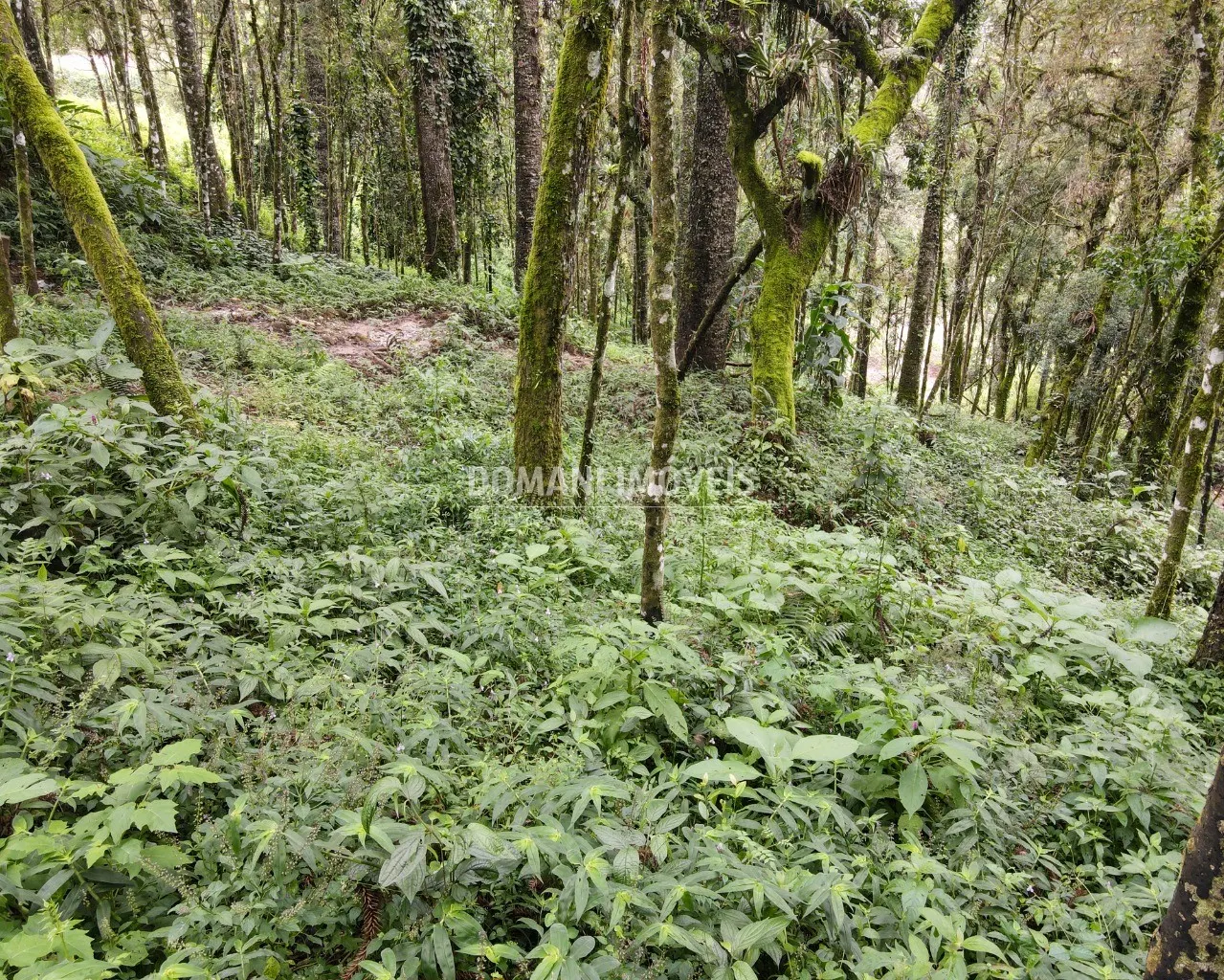 Plot for sale of 3,750 m² in Campos do Jordão, SP, Brazil