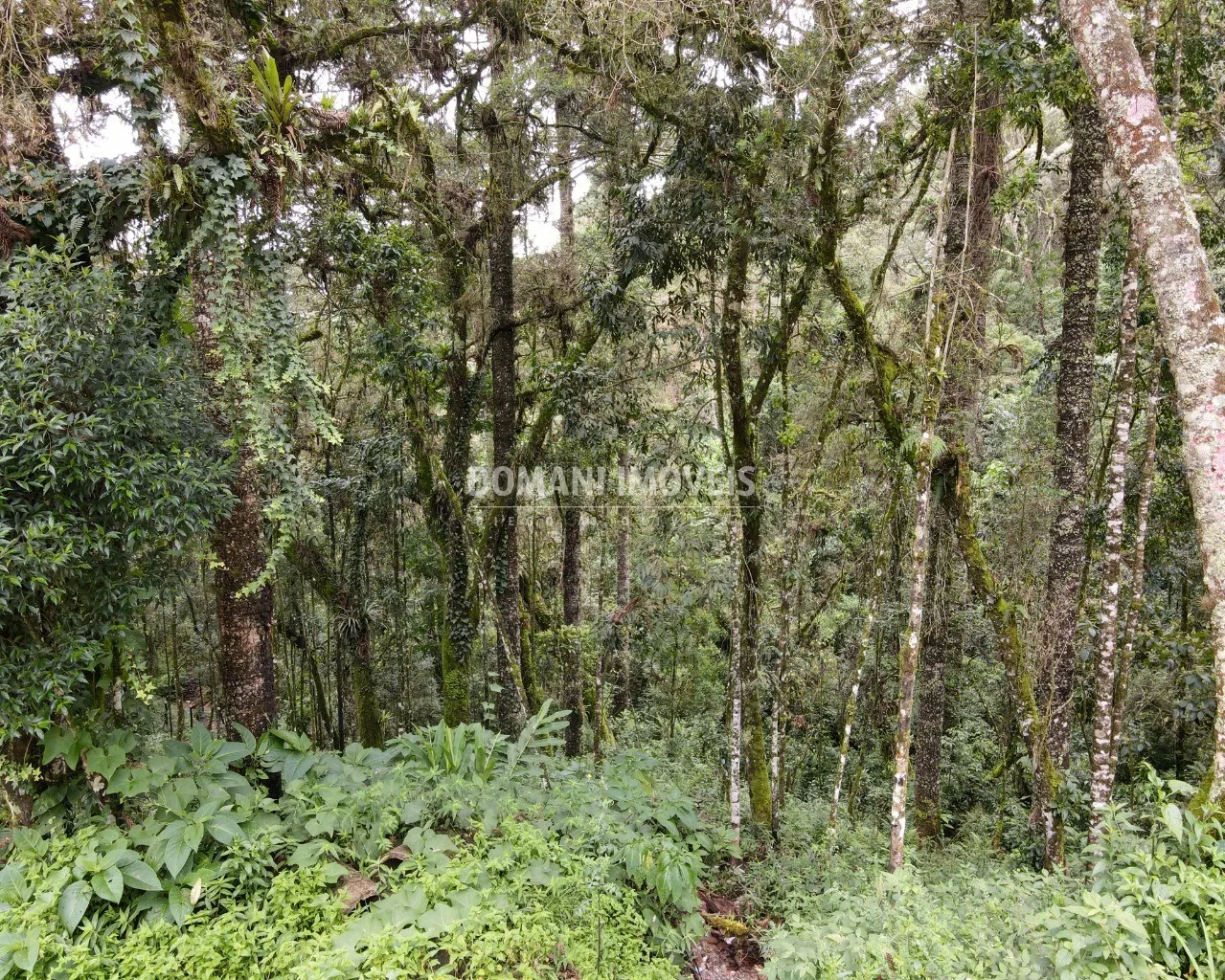 Plot for sale of 3,750 m² in Campos do Jordão, SP, Brazil