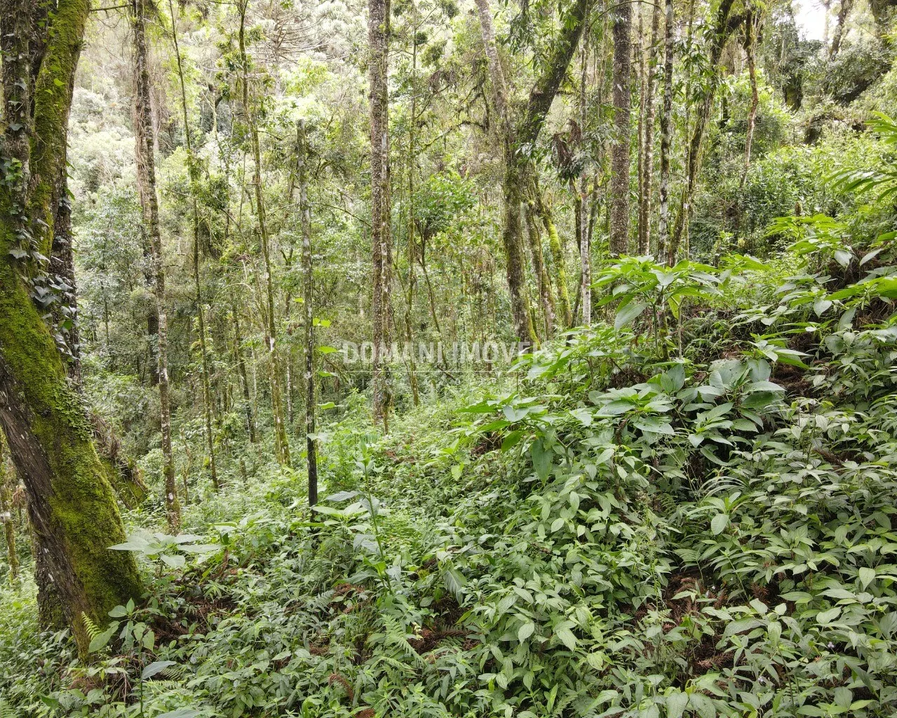 Plot for sale of 3,750 m² in Campos do Jordão, SP, Brazil