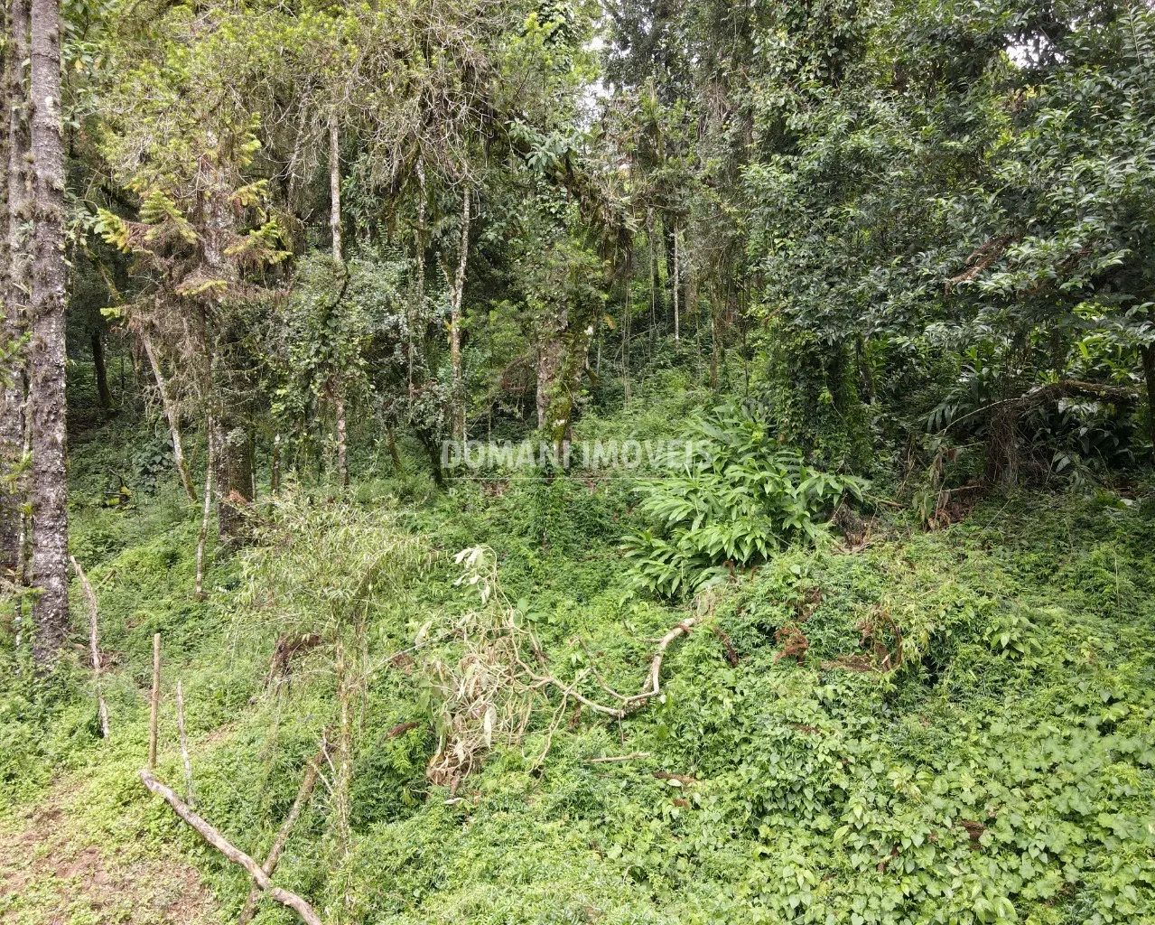 Plot for sale of 3,750 m² in Campos do Jordão, SP, Brazil