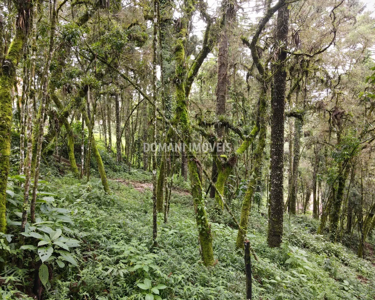 Plot for sale of 3,750 m² in Campos do Jordão, SP, Brazil