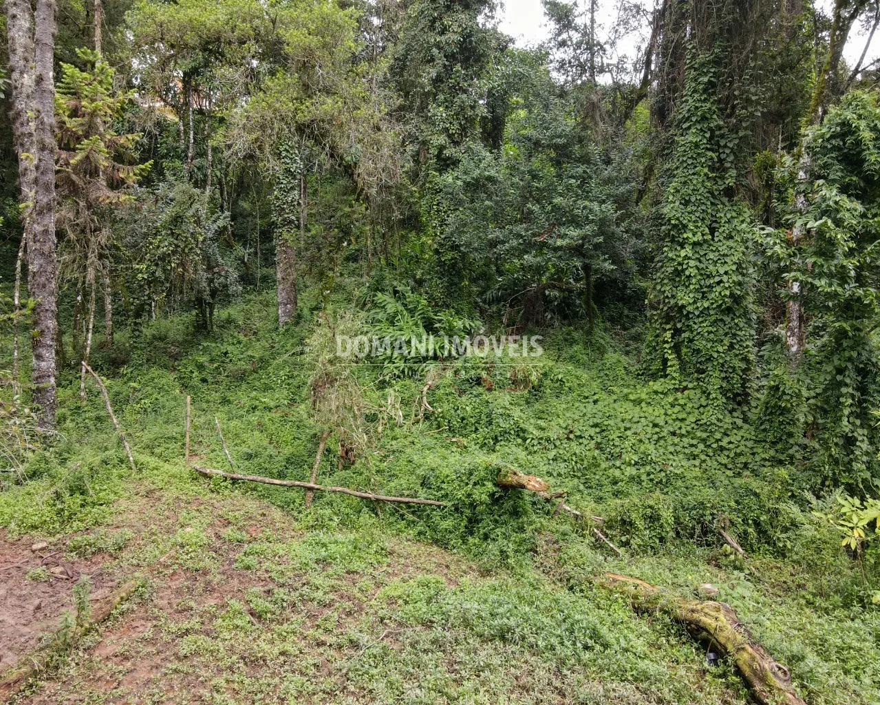Plot for sale of 3,750 m² in Campos do Jordão, SP, Brazil
