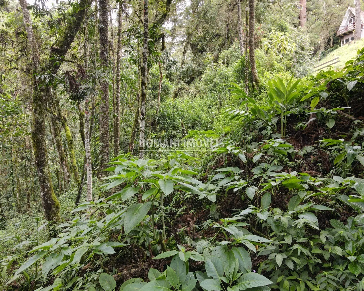 Plot for sale of 3,750 m² in Campos do Jordão, SP, Brazil