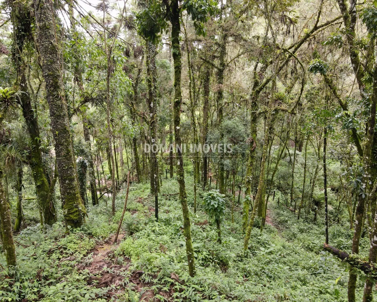 Plot for sale of 3,750 m² in Campos do Jordão, SP, Brazil