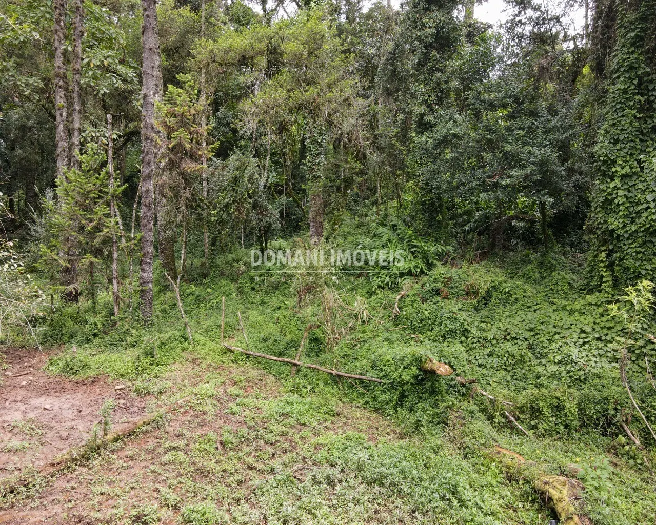 Plot for sale of 3,750 m² in Campos do Jordão, SP, Brazil