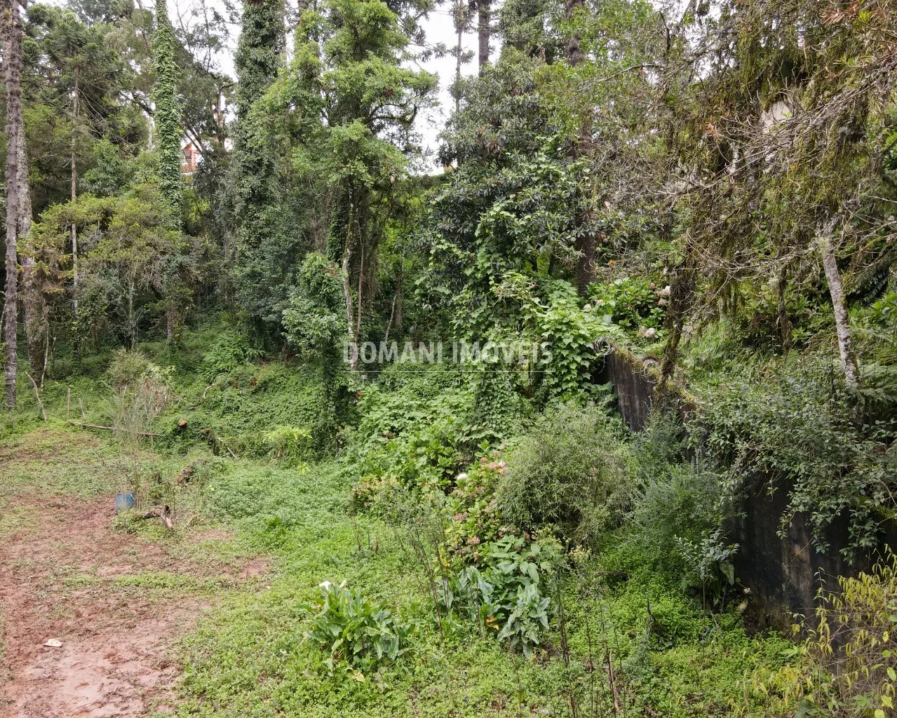Plot for sale of 3,750 m² in Campos do Jordão, SP, Brazil