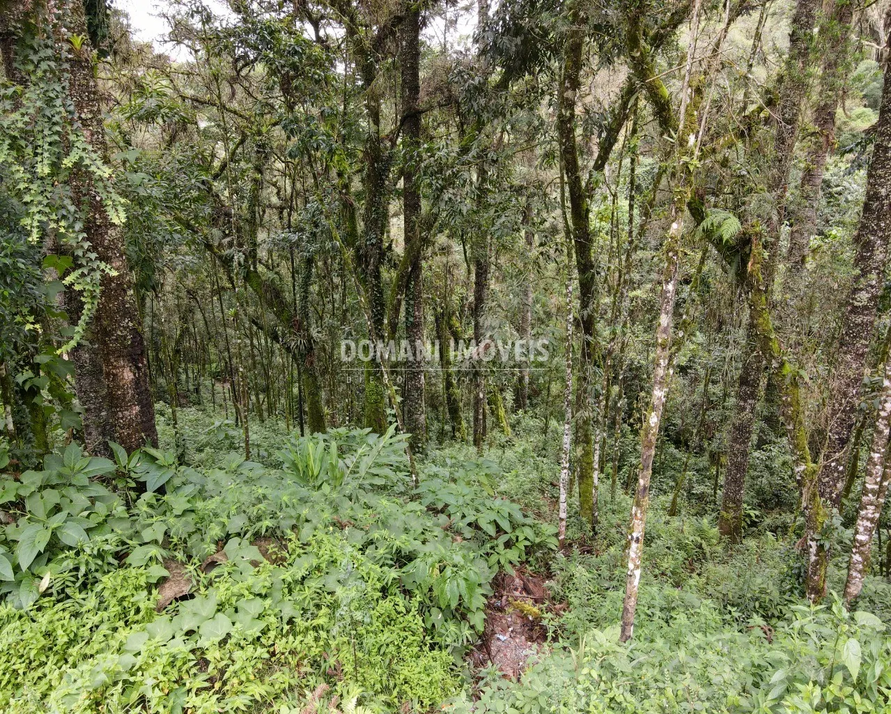 Plot for sale of 3,750 m² in Campos do Jordão, SP, Brazil