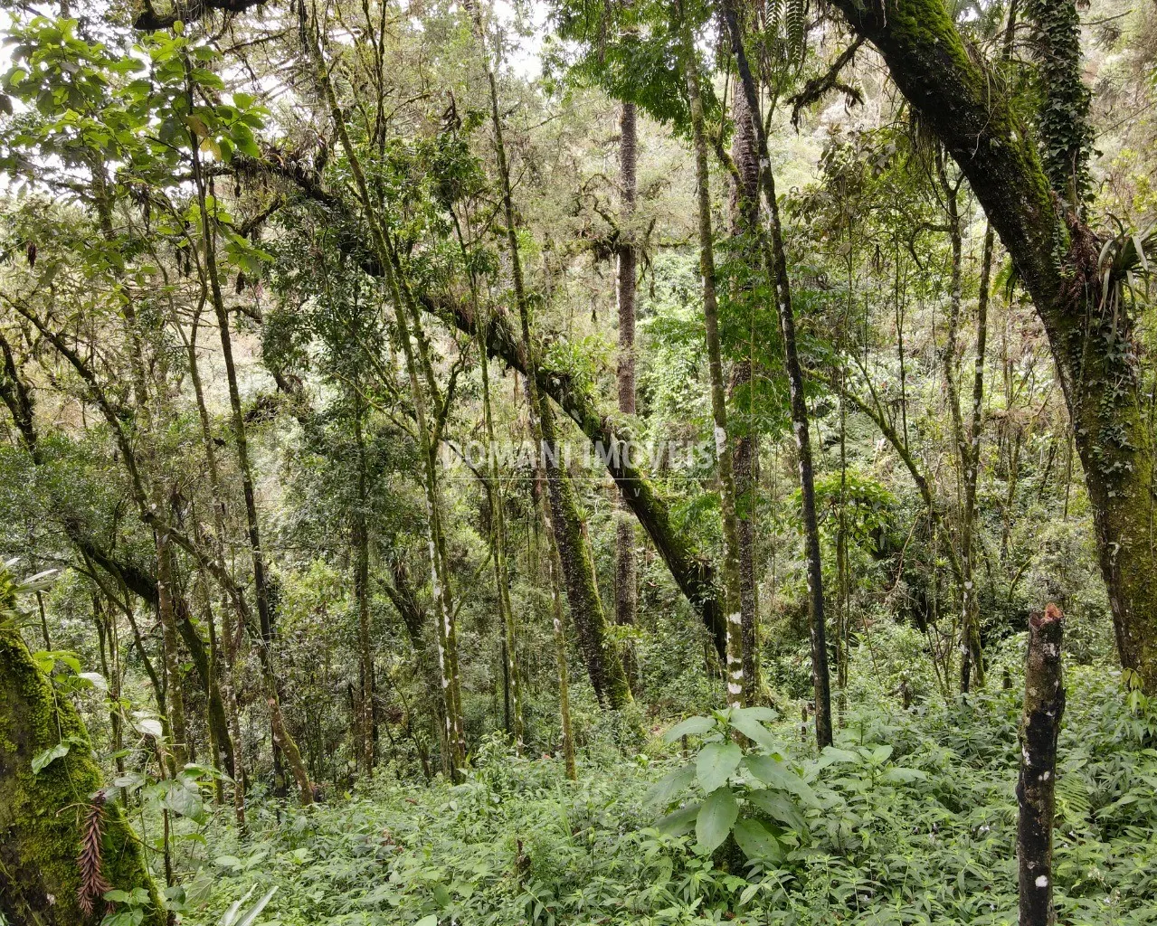 Plot for sale of 3,750 m² in Campos do Jordão, SP, Brazil
