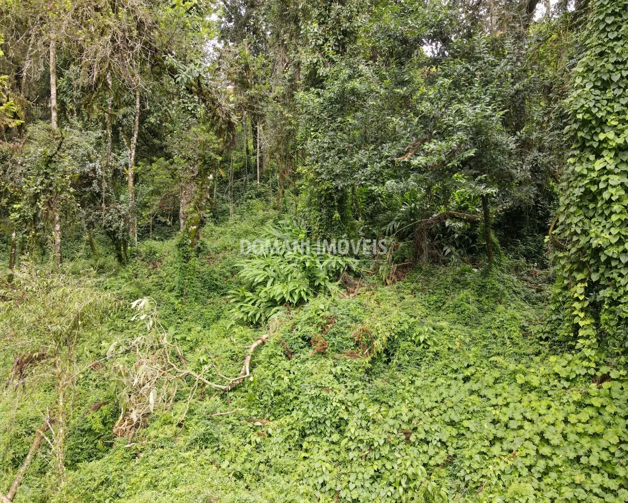 Plot for sale of 3,750 m² in Campos do Jordão, SP, Brazil