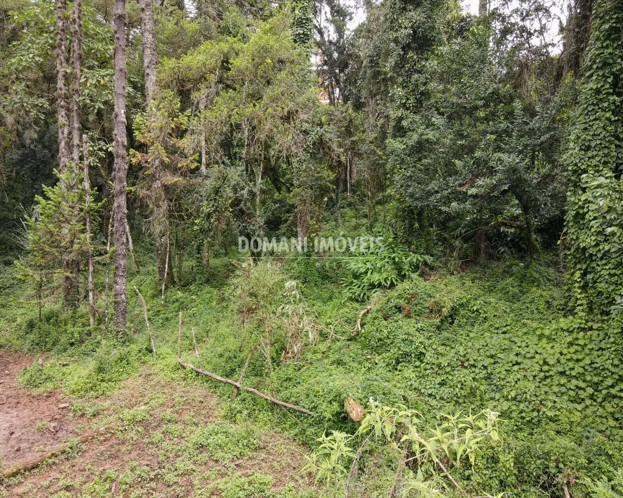 Plot for sale of 3,750 m² in Campos do Jordão, SP, Brazil