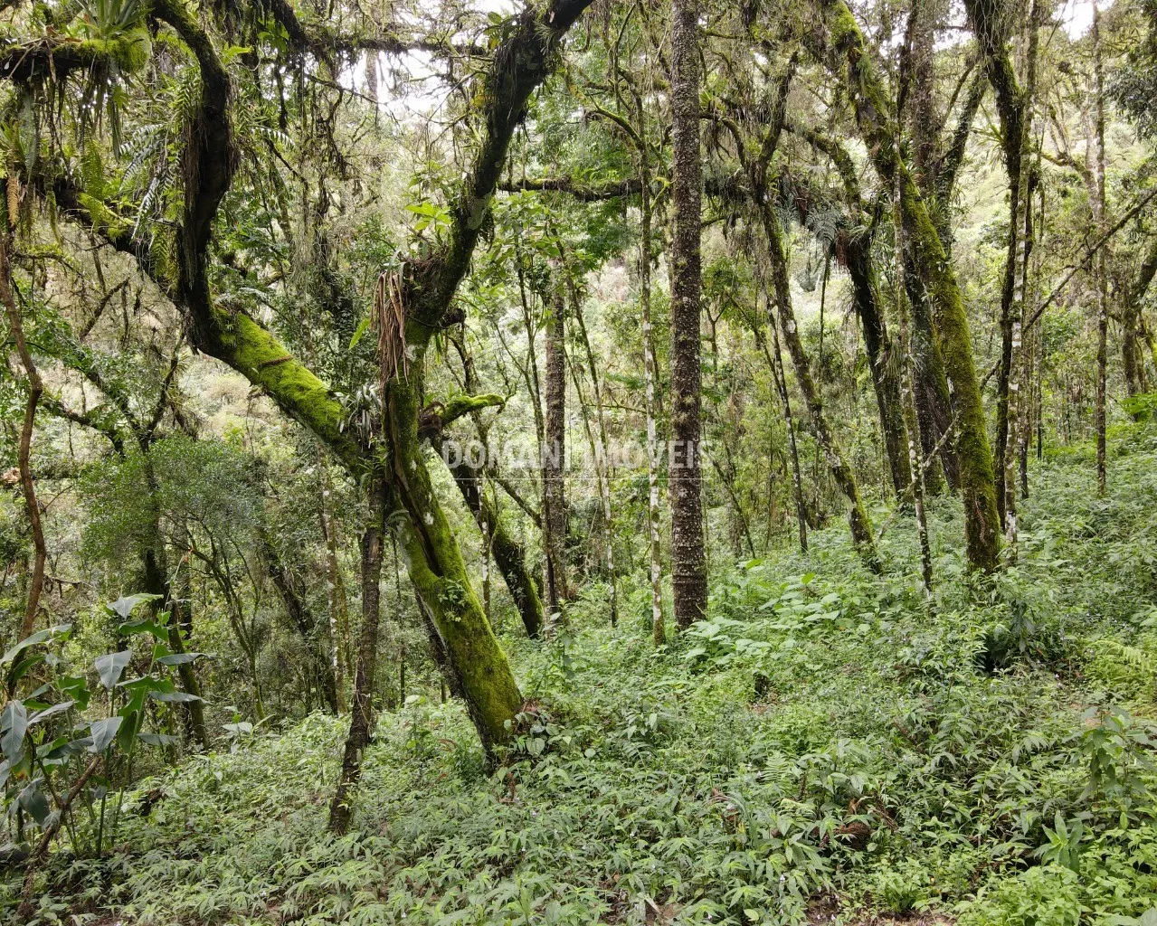 Plot for sale of 3,750 m² in Campos do Jordão, SP, Brazil