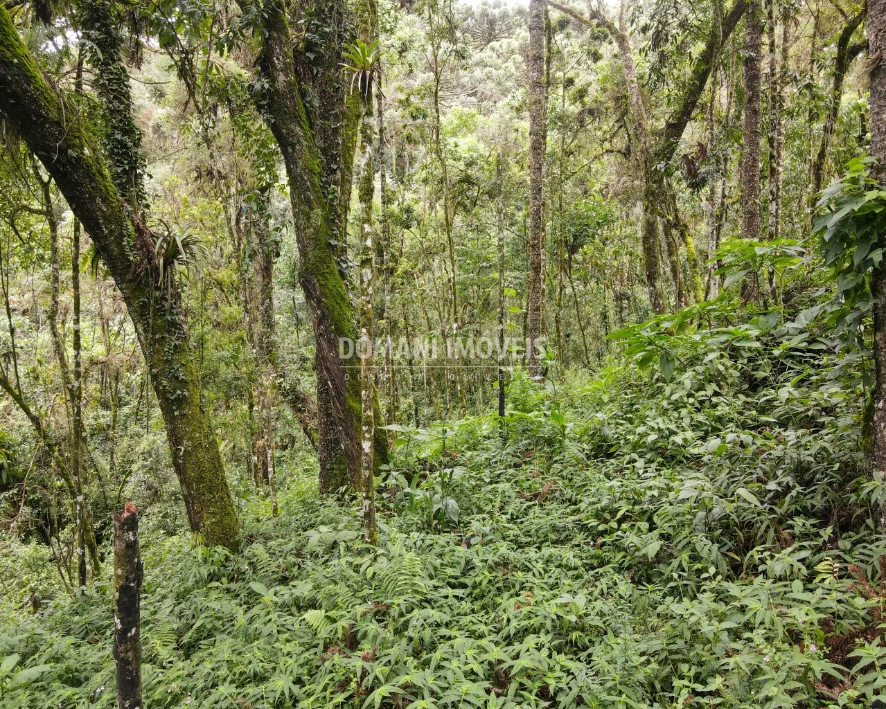 Plot for sale of 3,750 m² in Campos do Jordão, SP, Brazil